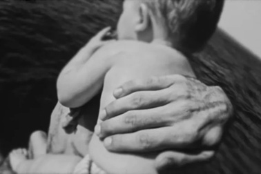 Con trai Justin Bieber lần đầu lộ diện trong video ca nhạc của bố