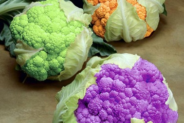 Buộc ghi nhãn với thực phẩm biến đổi gen