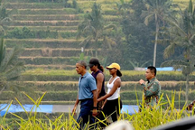 Gia đình ông Obama “du ngoạn” trên cánh đồng lúa ở Indonesia
