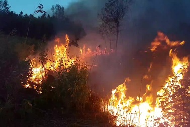 Cháy rừng dữ dội ở Phú Yên