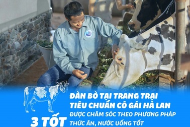 Bí quyết thành công của Cô Gái Hà Lan tại Việt Nam