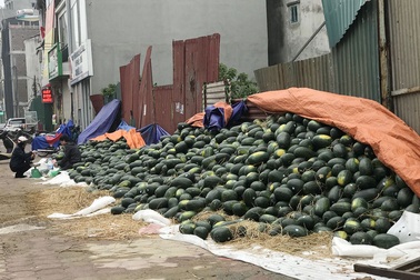 Trung Quốc "đóng cửa" vì dịch cúm, dưa hấu siêu rẻ, bán la liệt ở vỉa hè Hà Nội