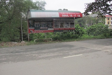 Nhà chờ xe buýt hay “chờ” cỏ mọc!