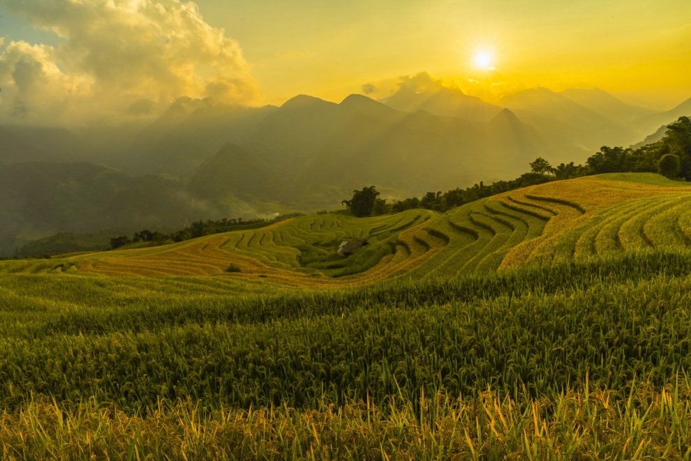 Có một mùa thu gây thương nhớ trên những triền hoa Fansipan - 7 Có một mùa thu gây thương nhớ trên những triền hoa Fansipan - 7