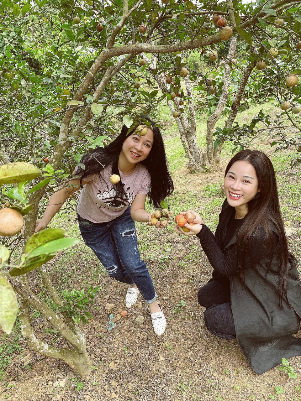 Đăng Dương, Trọng Tấn về trang trại 10.000m2 của Việt Hoàn tập hát - 1