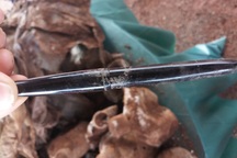 Phát hiện mộ chung nhiều hài cốt liệt sĩ cùng di vật “Giải phóng miền Nam”