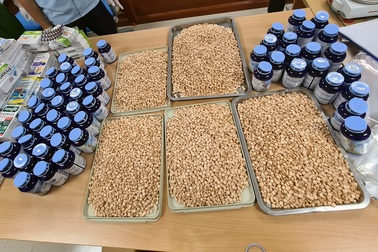 Hà Nội: Bắt vụ vận chuyển 43.000 viên ma túy tổng hợp