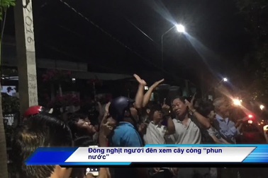 Đông nghịt người đến xem cây còng "phun nước"