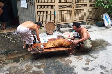 Dịch vụ mổ heo thuê nghiệp dư “hốt bạc” dịp Tết