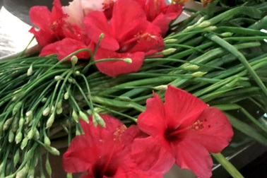 Chiếc Thìa Vàng: Hành trình hoa cỏ trở thành rau