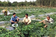 Cần Thơ lan tỏa, nhân rộng hiệu quả các mô hình giảm nghèo