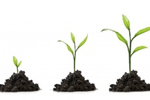 Hành động là cốt lõi