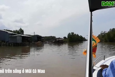 Đi canô trên sông ở Mũi Cà Mau