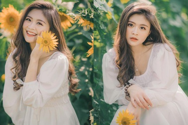 Cựu nữ sinh Ngoại thương khoe sắc bên hoa hướng dương