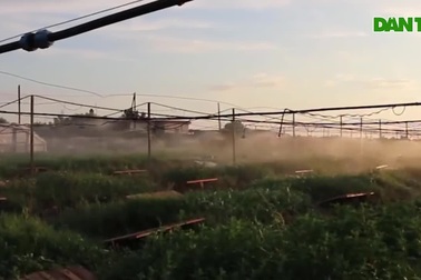 "Đột nhập" trang trại công nghệ cao nuôi hàng ngàn con ốc sên