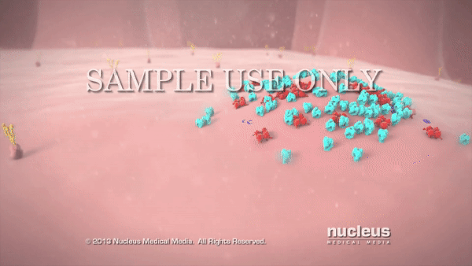 Giải mã “vũ khí” bí mật khiến bệnh cúm lây lan với tốc độ chóng mặt - 6