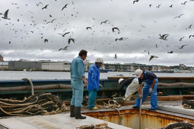 Sợ tên lửa Triều Tiên, ngư dân Nhật Bản chi tiền mua bảo hiểm tính mạng