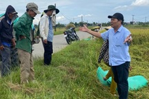 Các tỉnh, thành miền Trung “lên dây cót” ứng phó bão số 5