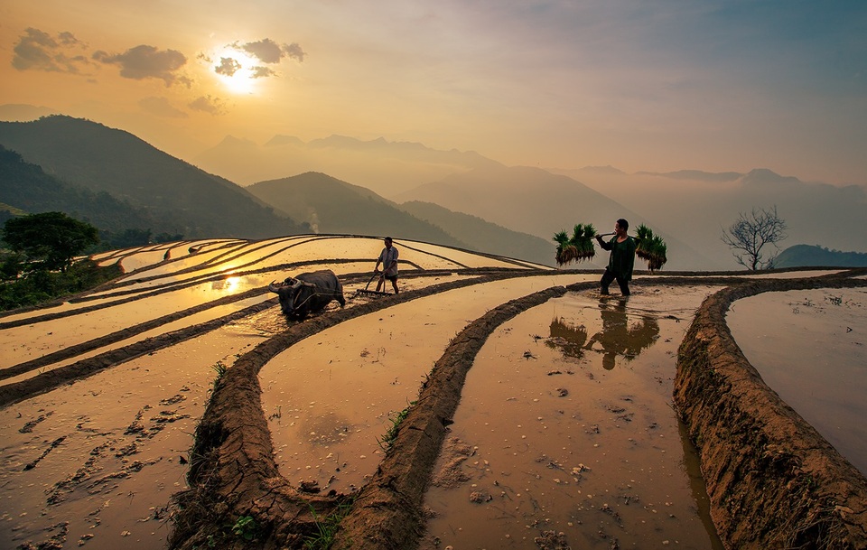 Lào Cai nắng nóng gần 40 độ C, nguy cơ cháy rừng Sa Pa - 1 Lào Cai nắng nóng gần 40 độ C, nguy cơ cháy rừng Sa Pa - 1