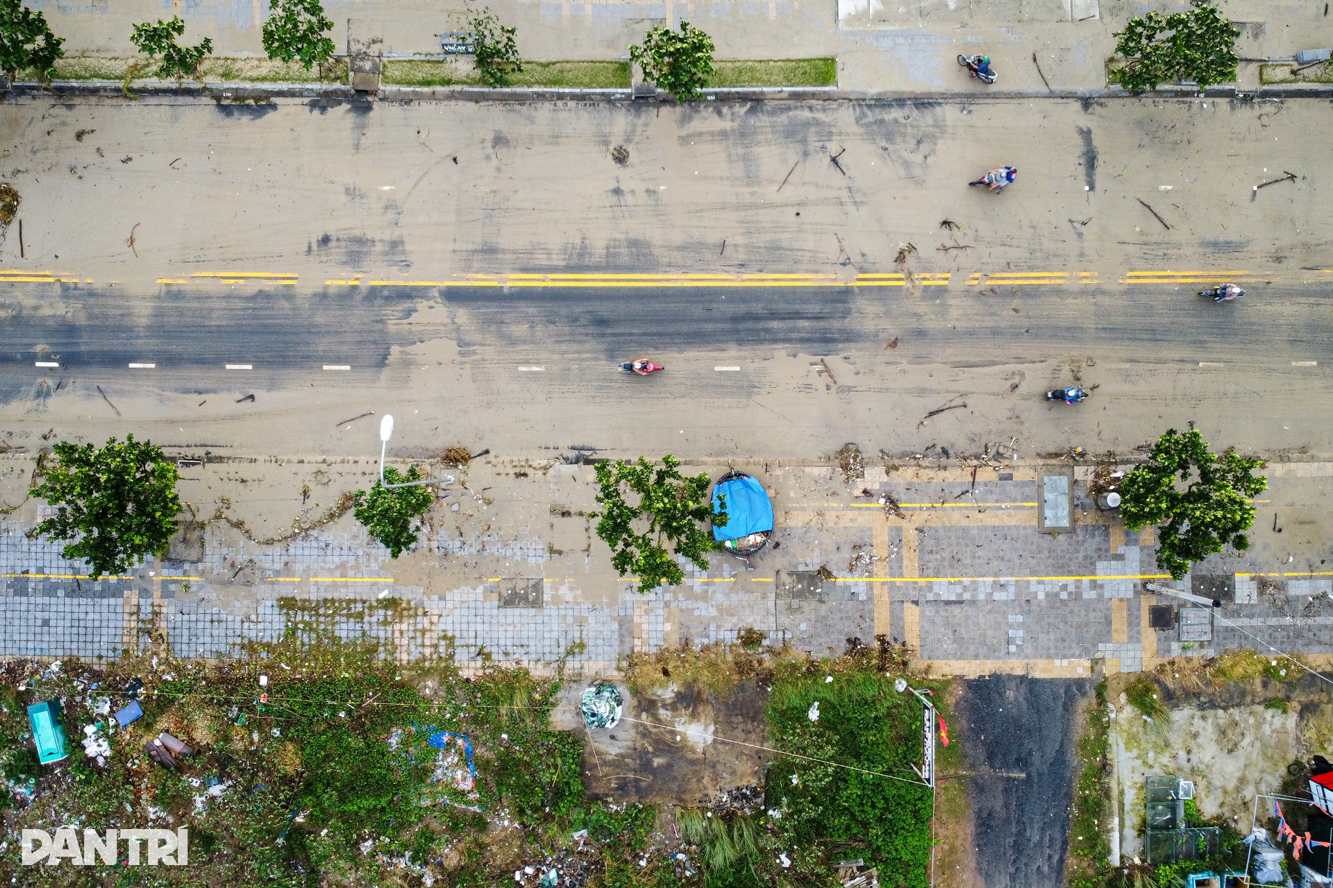 Cây nằm như ngả rạ, đường phố Đà Nẵng ngập rác sau bão số 13 Kalmaegi - 9 Cây nằm như ngả rạ, đường phố Đà Nẵng ngập rác sau bão số 13 Kalmaegi - 9