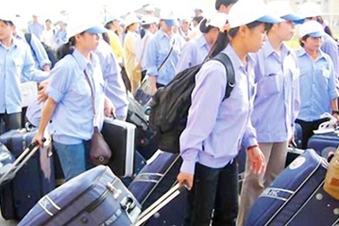 Người Việt ở nước ngoài được đóng bảo hiểm, đảm bảo có lương hưu