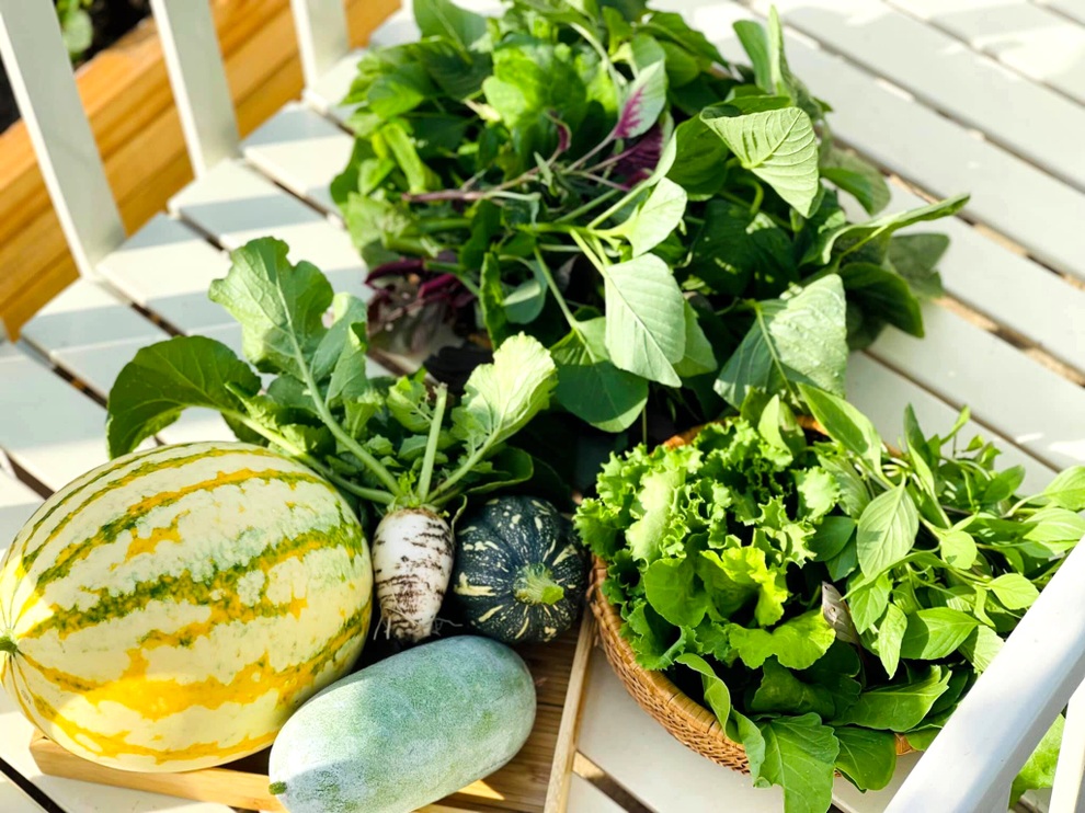 Gia chủ Đà Nẵng phủ xanh nóc nhà bằng vườn rau trái sum suê - 7