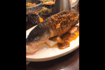 Cá âm dương nửa sống, nửa chết khiến thực khách "sởn da gà"