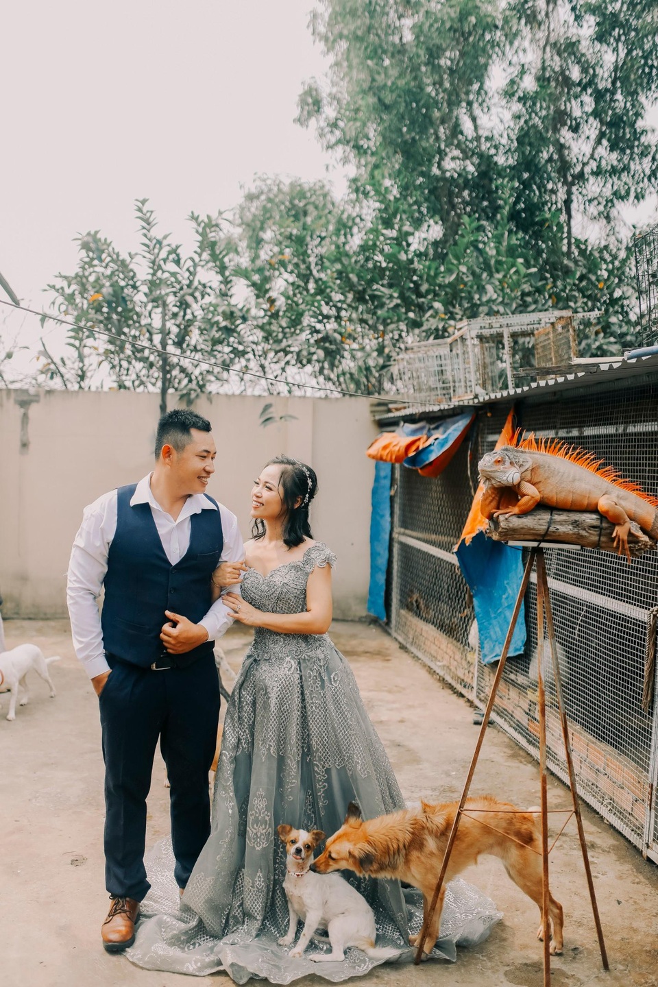Cặp đôi chụp ảnh cưới độc đáo cùng dàn chó mèo cưng xỉu - 6 Cặp đôi chụp ảnh cưới độc đáo cùng dàn chó mèo cưng xỉu - 6