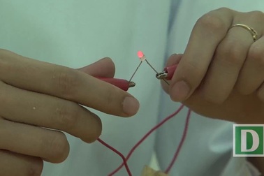 Thí nghiệm vui: Thắp sáng đèn led bằng… khoai tây