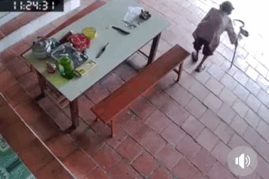 Phản xạ của cụ bà 96 tuổi khi bị rắn hổ mang tấn công