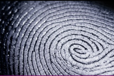 Hé lộ bí mật của đường vân tay chưa từng được biết đến