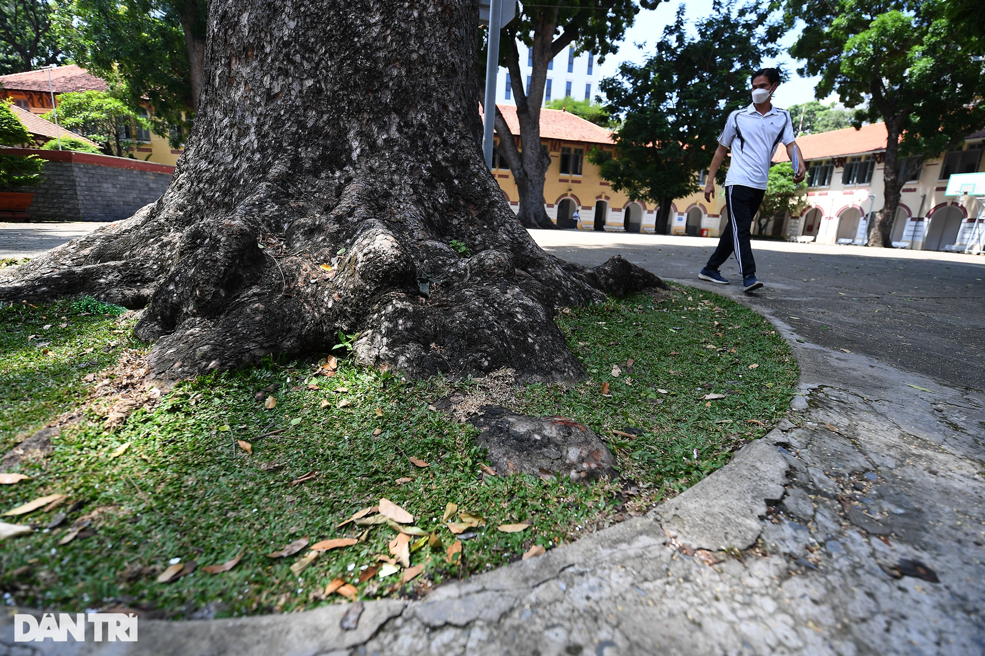 Khám phá ngôi trường hơn 100 năm tuổi tại TPHCM được công nhận di tích - 9 Khám phá ngôi trường hơn 100 năm tuổi tại TPHCM được công nhận di tích - 9