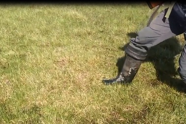 Khí mê tan “bị bẫy” khiến cho bề mặt trái đất chao đảo