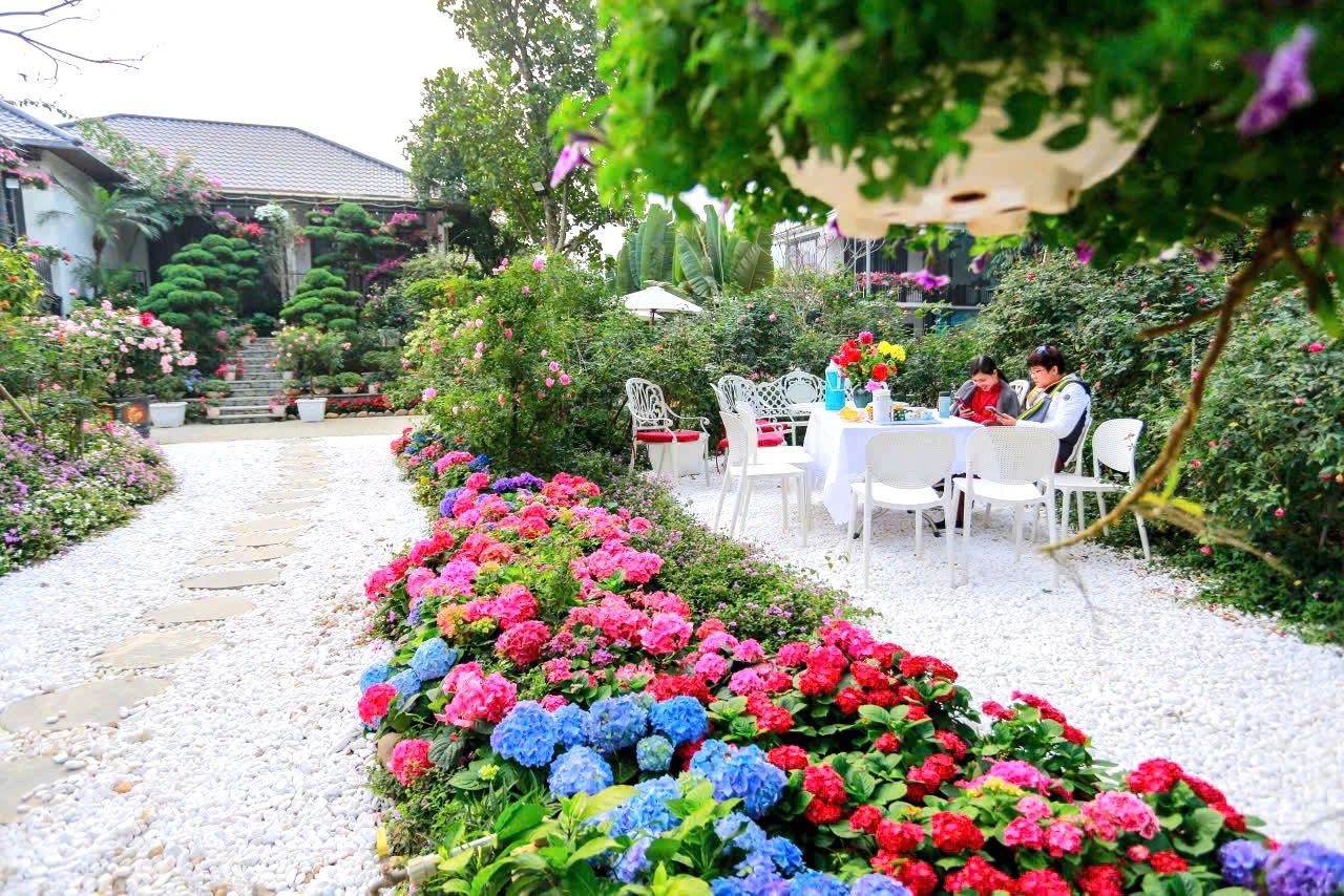 Rose Homestay Ba Vì - điểm đến nghỉ dưỡng giữa lòng thiên nhiên Hà Nội - 3