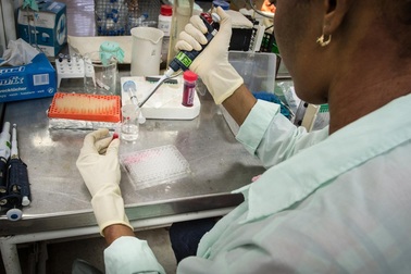 Chữa khỏi bệnh ung thư từ... sốt rét