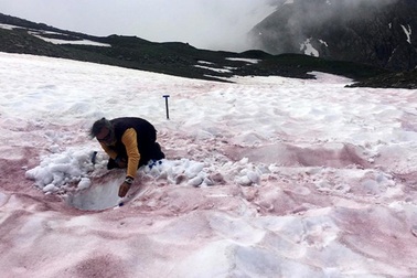 Giải mã bí ẩn hiện tượng "máu sông băng" đáng sợ