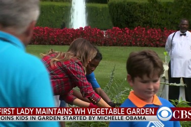 Đệ nhất phu nhân Mỹ xắn tay trồng rau tại Nhà Trắng