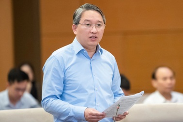 Người được bổ nhiệm ở cơ quan Nhà nước phải "chỉ có một quốc tịch Việt Nam"