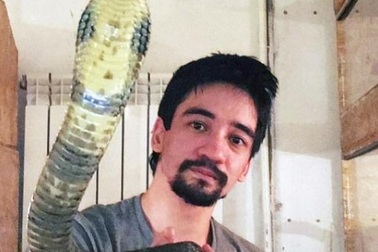 Cho rắn độc cắn rồi livestream cảnh chết dần để xin lỗi vợ