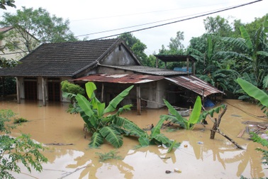 Phân bổ 30 tỷ đồng hỗ trợ khắc phục hậu quả mưa lũ