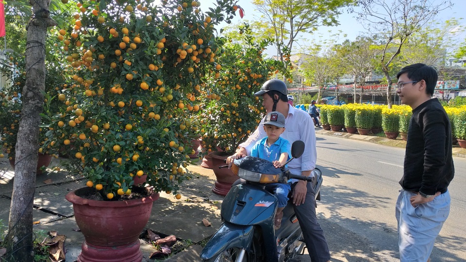 Hoa Tết ế ẩm, tiểu thương than trời - 3 Hoa Tết ế ẩm, tiểu thương than trời - 3