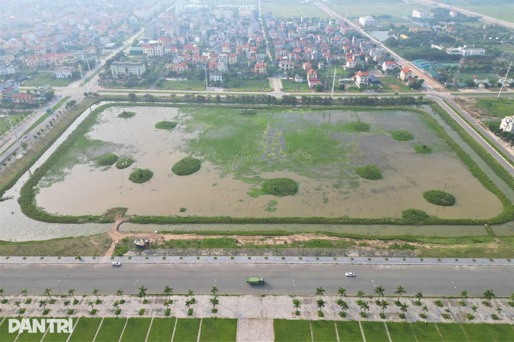 20ha đất vàng bị bỏ hoang, cỏ dại mọc um tùm ở Ninh Bình - 1 20ha đất vàng bị bỏ hoang, cỏ dại mọc um tùm ở Ninh Bình - 1