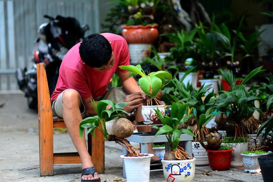 Bonsai hình chuột.jpg Bonsai hình chuột.jpg