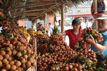 Trung Quốc thu hoạch 500.000 ha vải thiều, Việt Nam có lo?