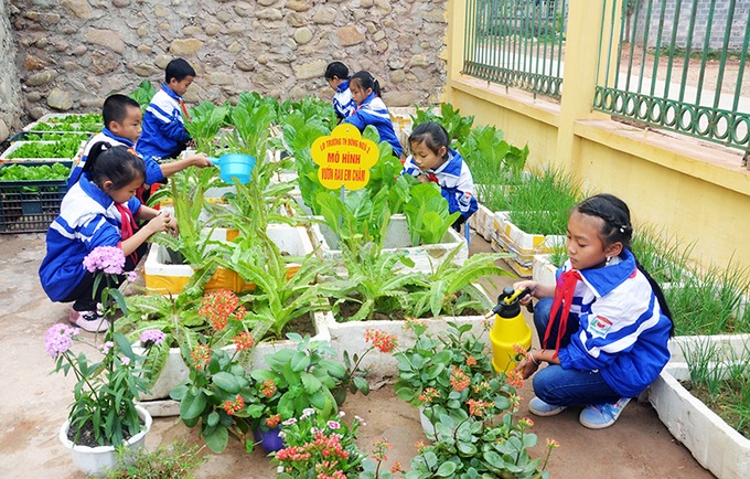Trẻ em tập trồng rau.