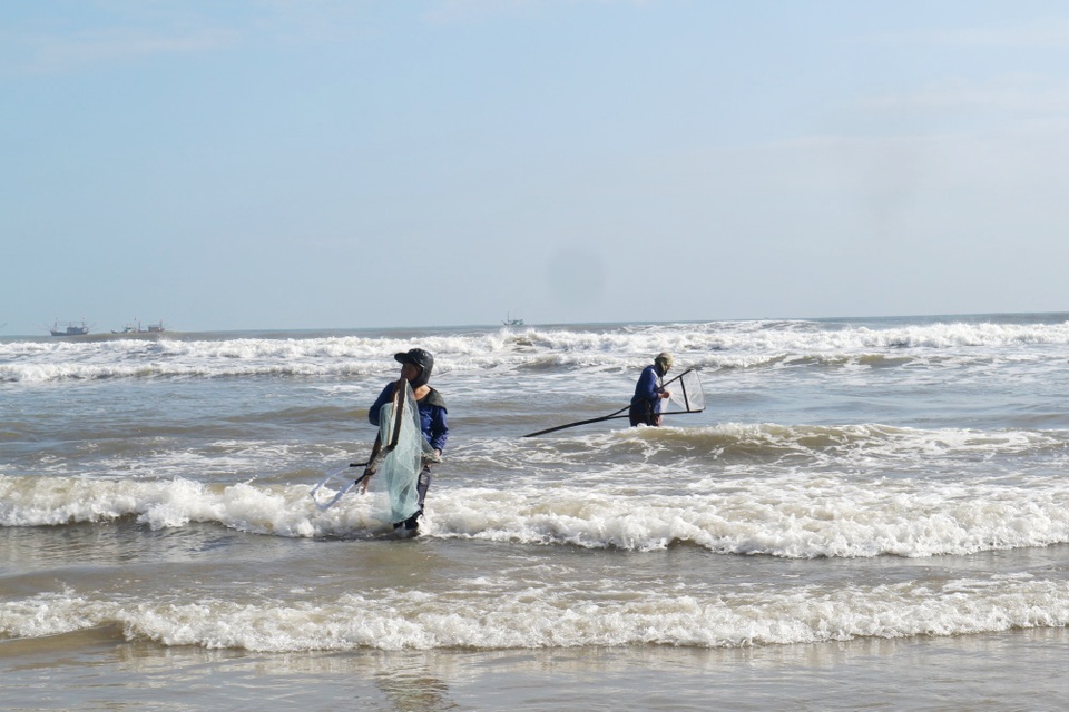 Đầu năm ngư dân trúng đậm ốc gạo - 1 Đầu năm ngư dân trúng đậm ốc gạo - 1