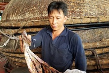 Trung Quốc ngừng mua, hàng trăm tấn mực khô tồn kho, không có đầu ra