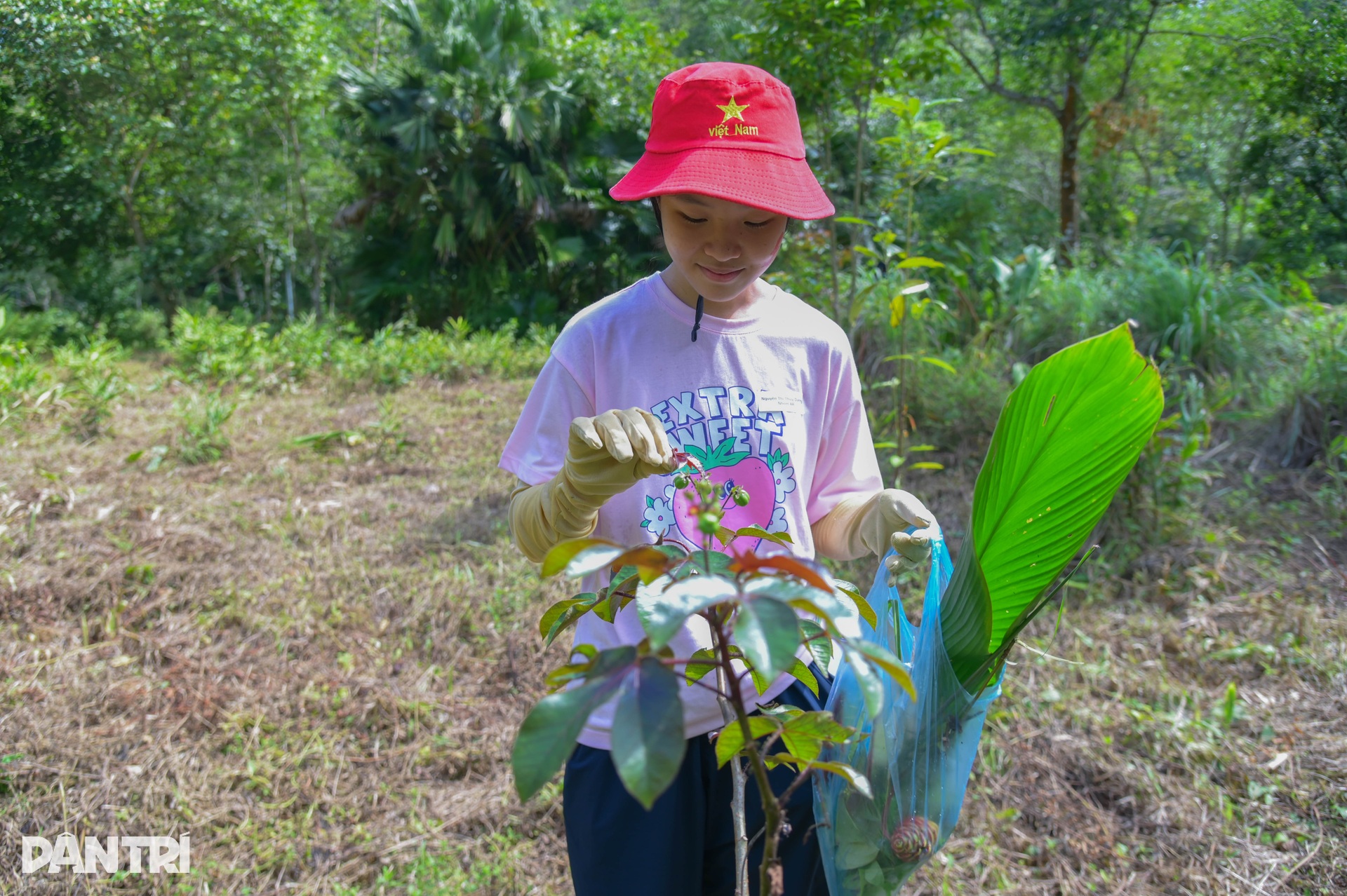 Cận cảnh loài thằn lằn cá sấu ở Việt Nam, có mặt từ thời khủng long - 15 Cận cảnh loài thằn lằn cá sấu ở Việt Nam, có mặt từ thời khủng long - 15