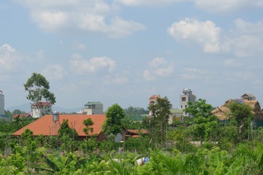 TP. Hà Nội chỉ đạo thanh tra vụ biệt thự mọc tràn lan trên đất nông nghiệp