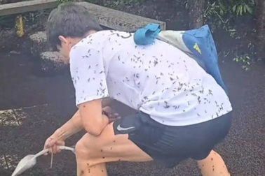 Hàn Quốc đau đầu xử lý “bọ tình yêu”